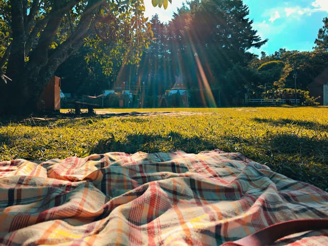 Mountain Picnic – Wine & Cheese with a View
