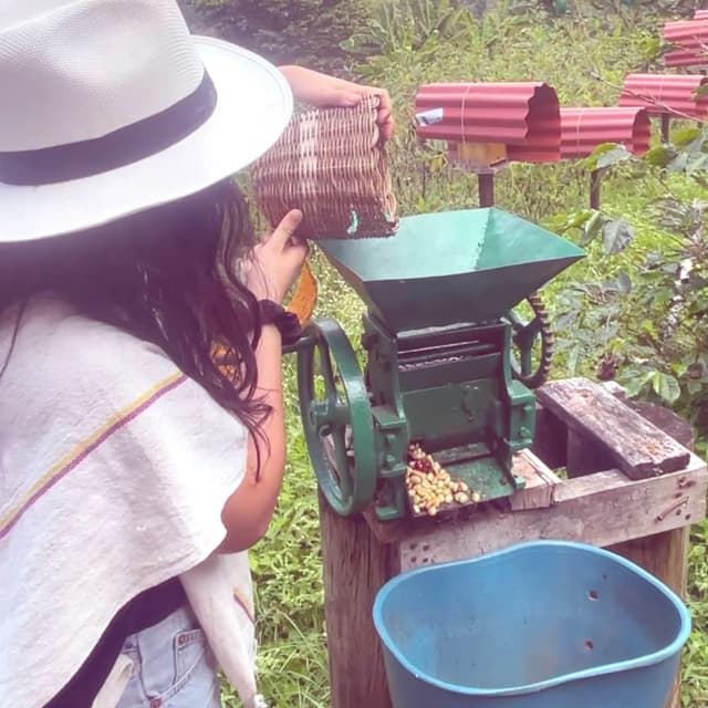 Coffee Tour